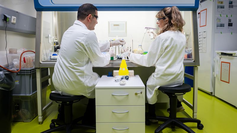 Researchers in the laboratory 