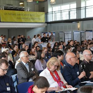 Publikum auf Stuhlreihen sitzend 