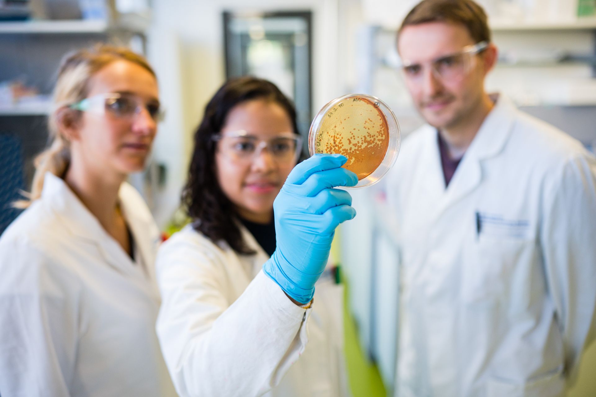 Researchers in HIPS Laboratory