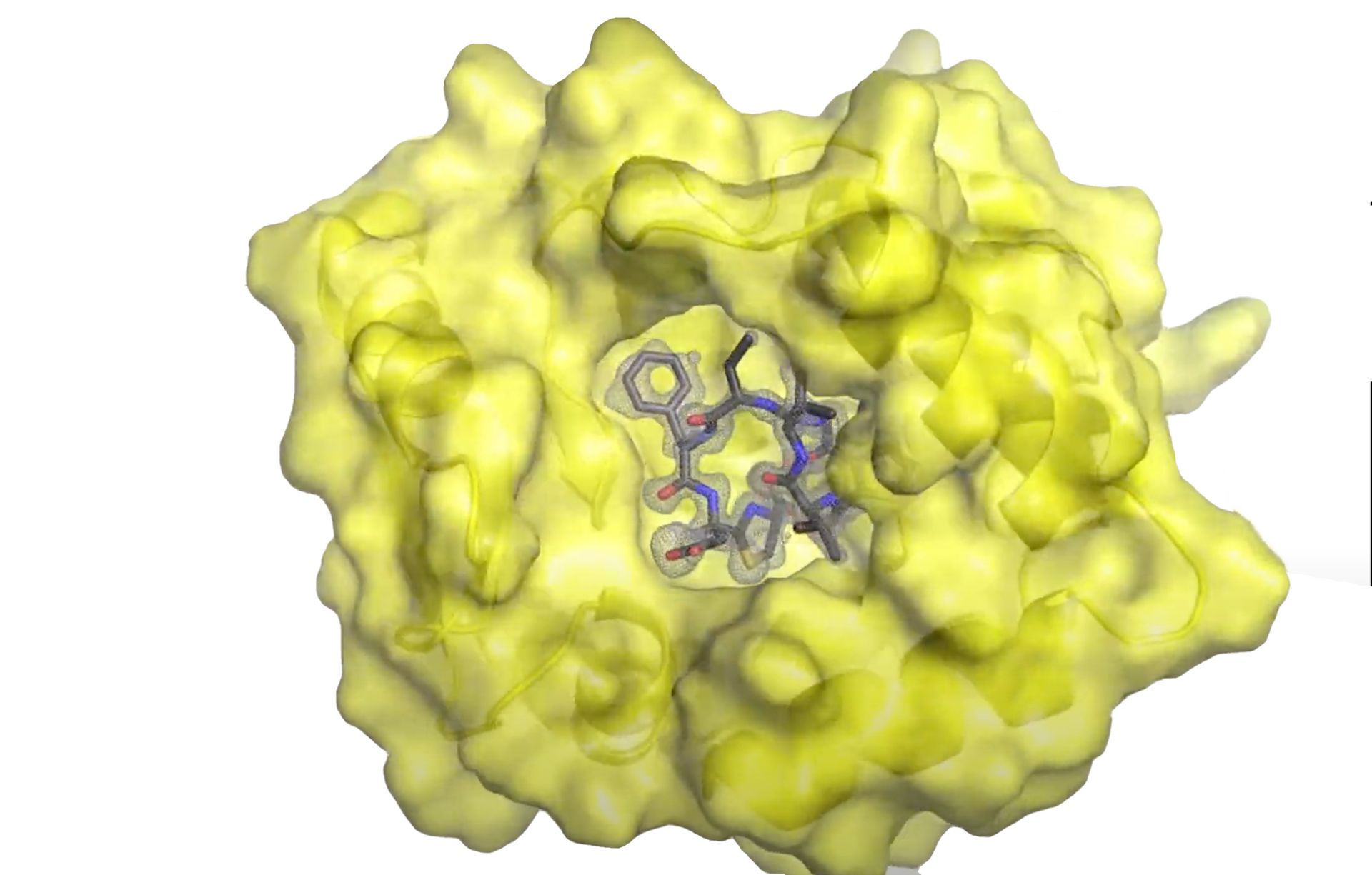Schaubild eines Enzyms in gelb