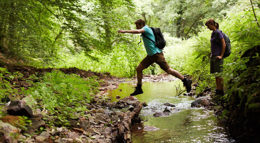 Two people in a forest, on the edge of a stream.