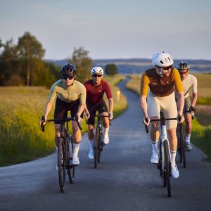 Vier Menschen, die mit dem Fahrrad durch die Natur radeln