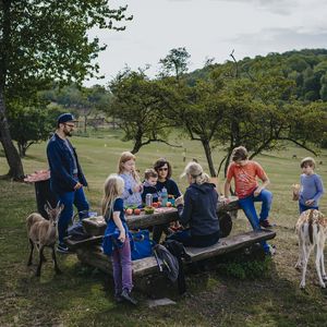 Einblick in den Naturwildpark mit einer Personengruppe die an einer Bank steht und sitzt und dabei Obst isst sowie freilaufenden Tieren um dieser herum
