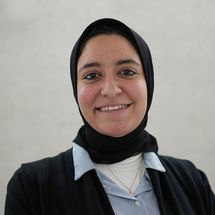 Walaa M. Metwally Abdelghany