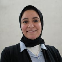 Walaa M. Metwally Abdelghany