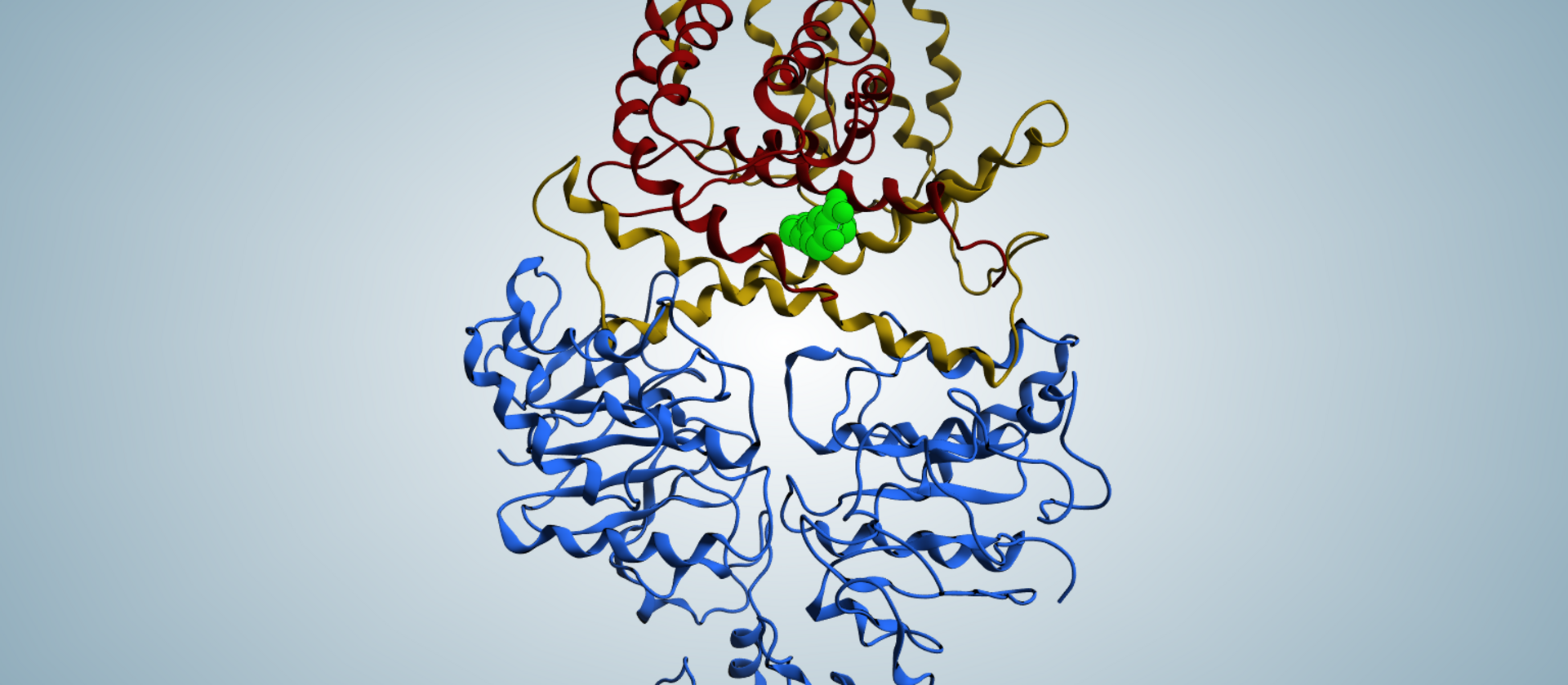 Dreidimensionale Struktur des Transportproteins ECF-T.