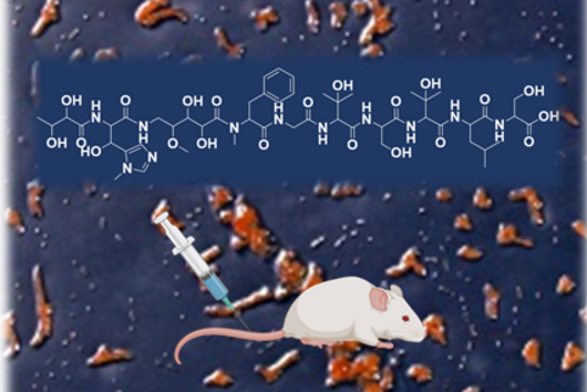 Grafik für den Naturstoff Corramycin © HIPS