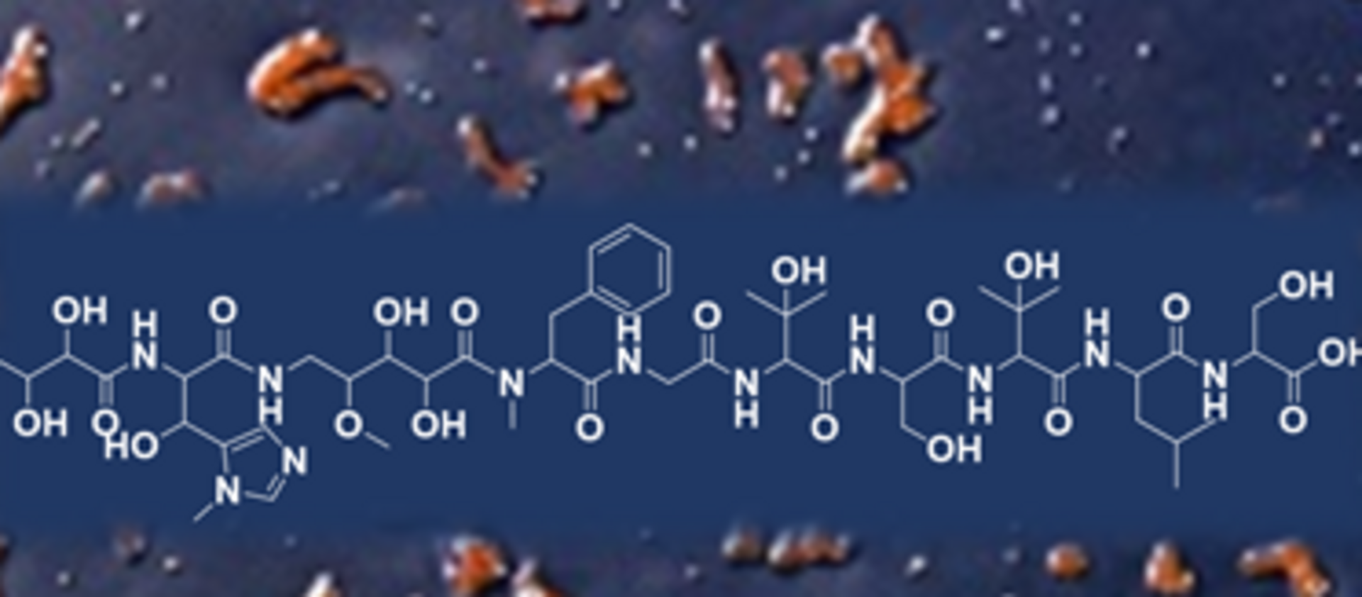 Grafik für den Naturstoff Corramycin © HIPS