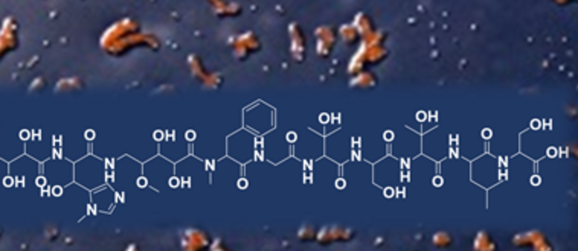 Graphic for the natural product Corramycin © HIPS