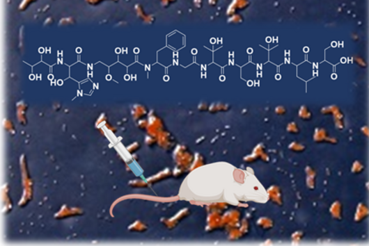Graphic for the natural product Corramycin © HIPS