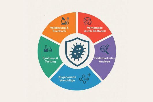 Visual representation of areas of application